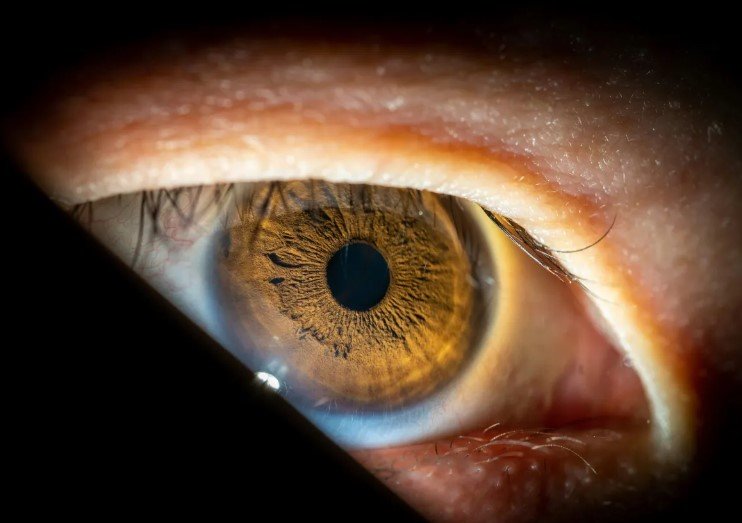 Detalhe macro de um olho humano iluminado em exame